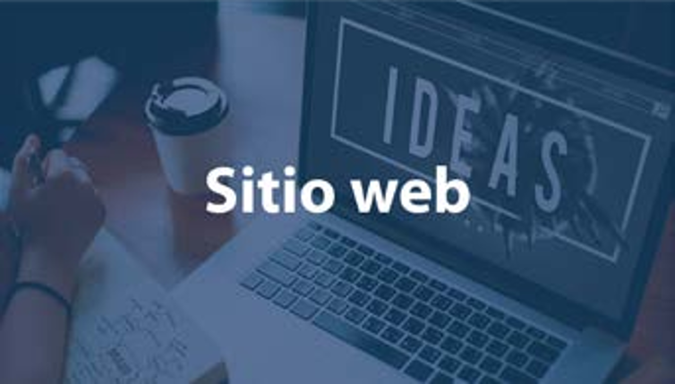 Presencia en Internet y Sitio Web