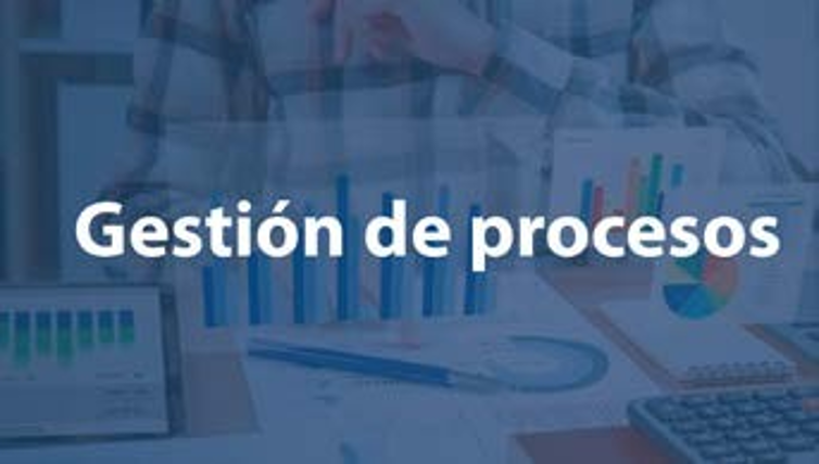 Gestion de Procesos y ERP